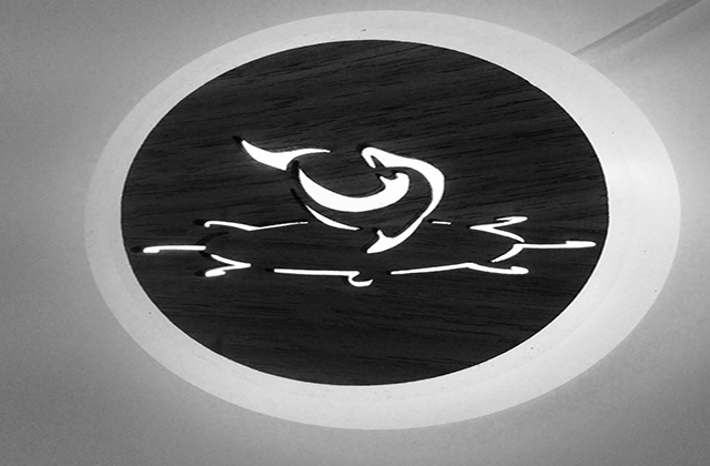 Dolphin Marine Logo